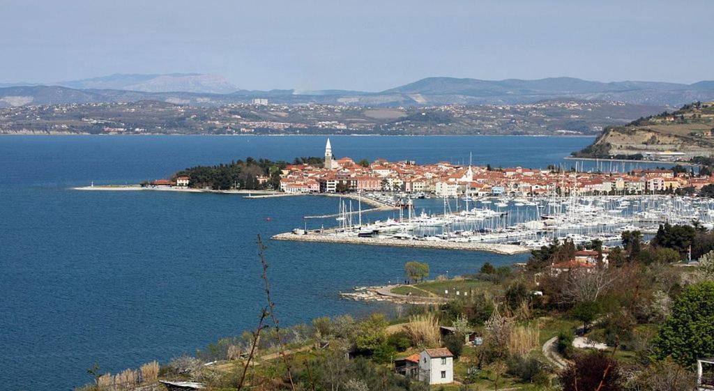 Apartma Soncek Izola Extérieur photo